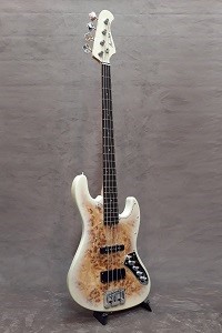 Bacchus WJB-BP Bld Burst